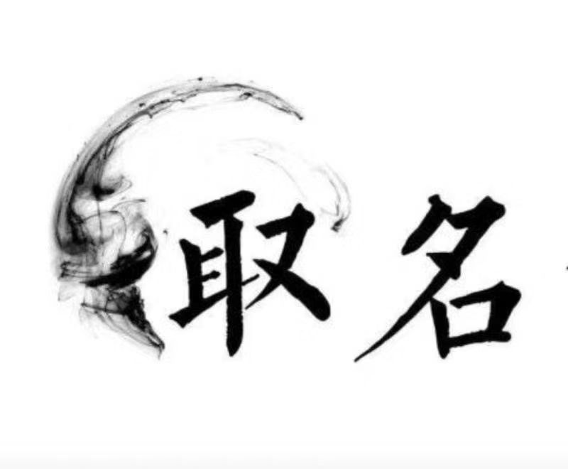  和布克赛尔宝宝取名 大师一对一人工起名